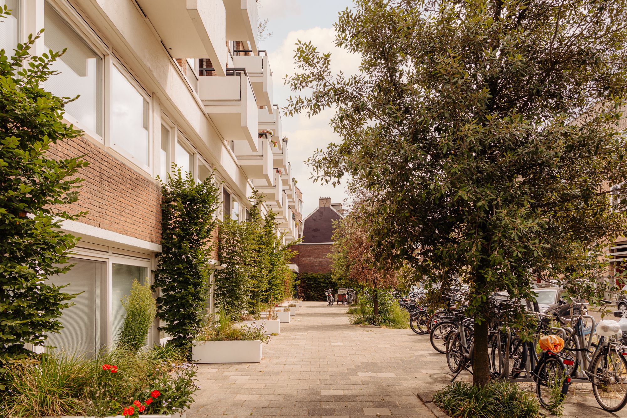 Photo 3 of Andreas Schelfhoutstraat 48-H