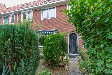 Cederstraat thumbnail
