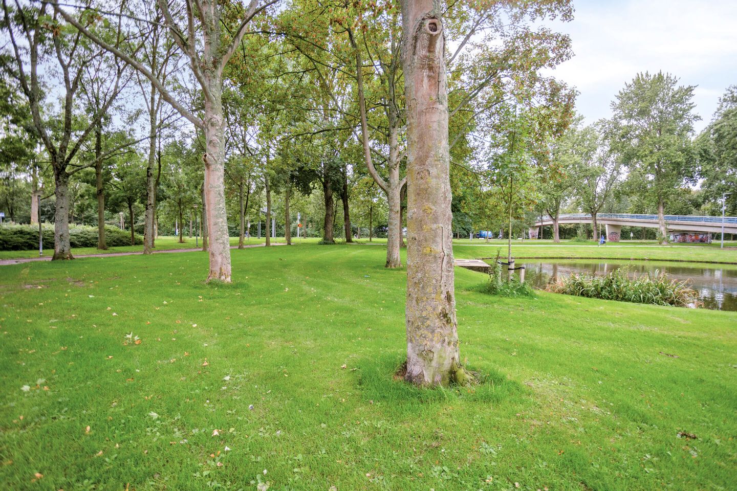 Photo 34 of Bloemenlaan 83
