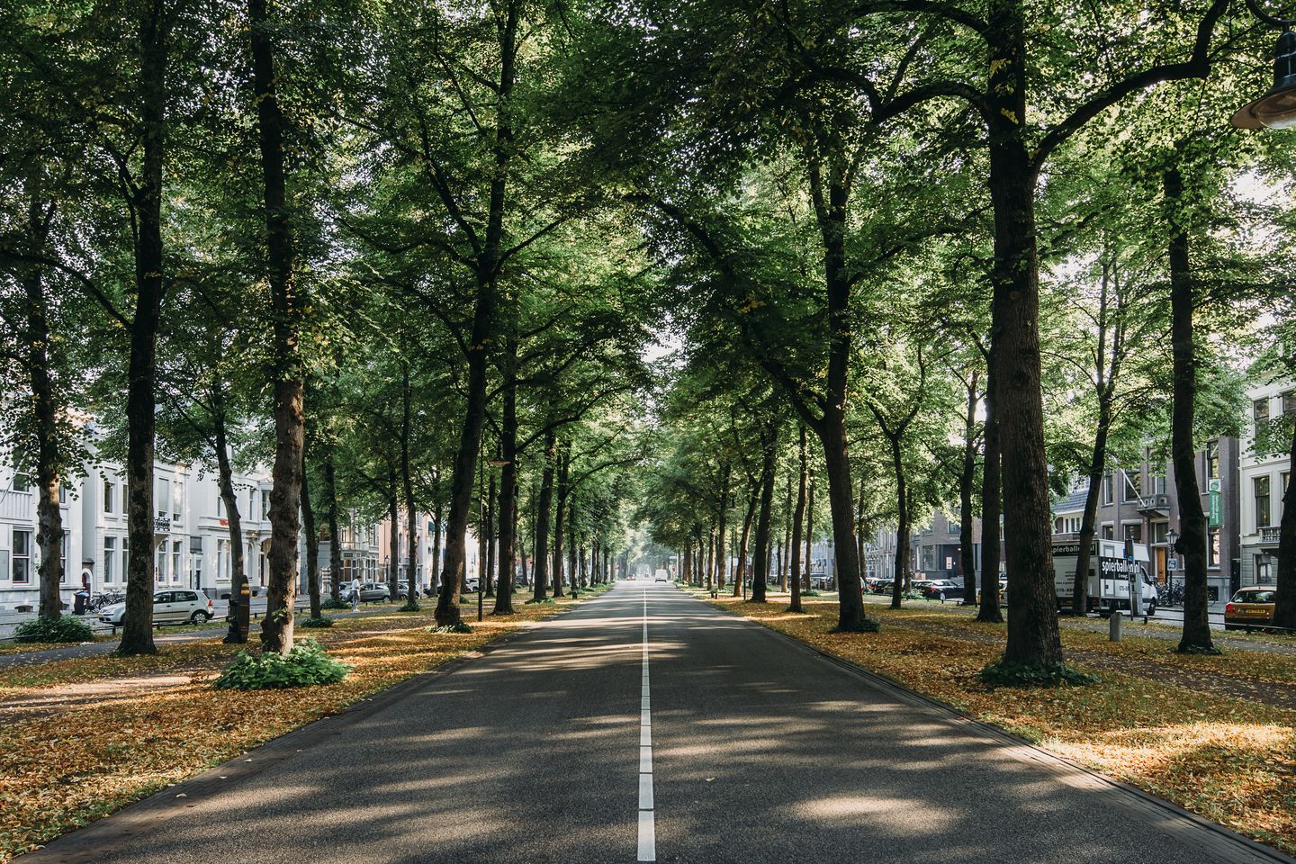 Bekijk foto 3 van Maliebaan 55