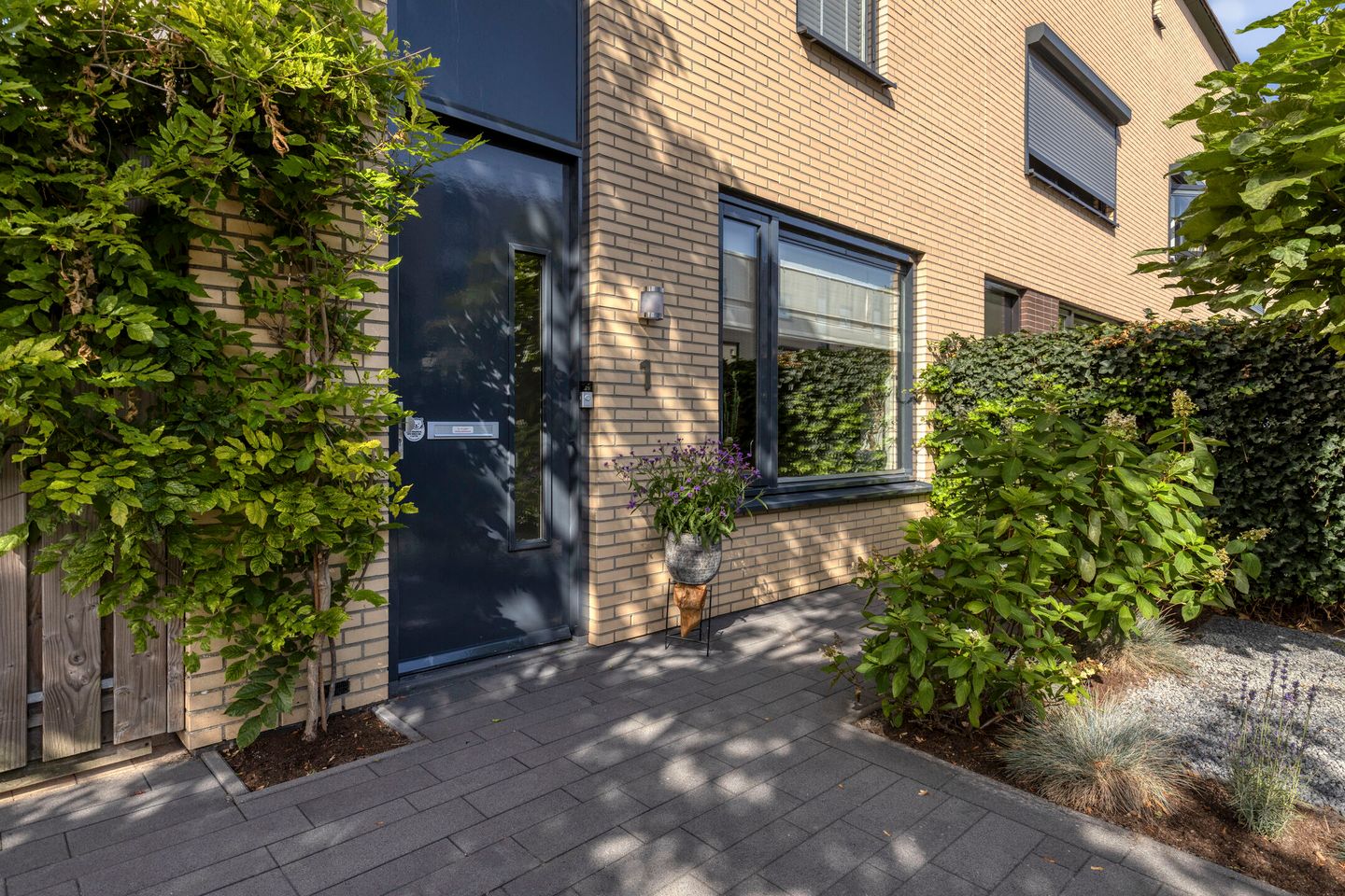 Foto 4 van Moerasberg 1