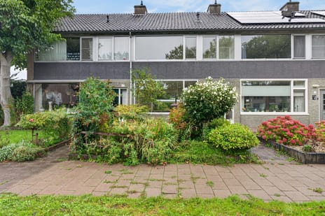 Patrijsstraat thumbnail