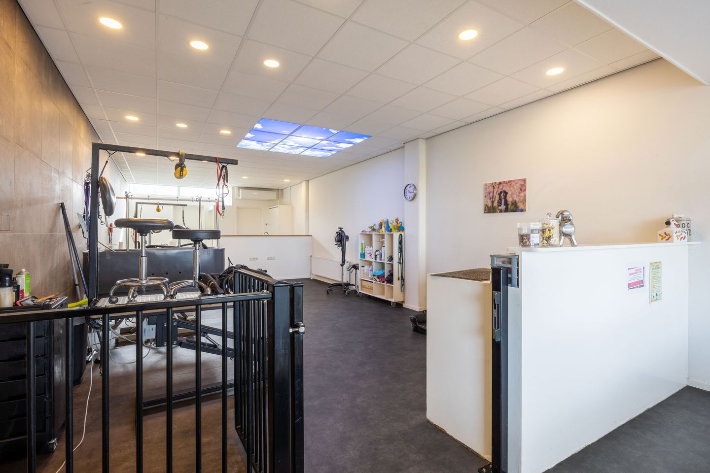 Bekijk foto 4 van Groen van Prinstererstraat 7