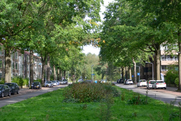 Foto 4 van Jacob van Campenlaan 217