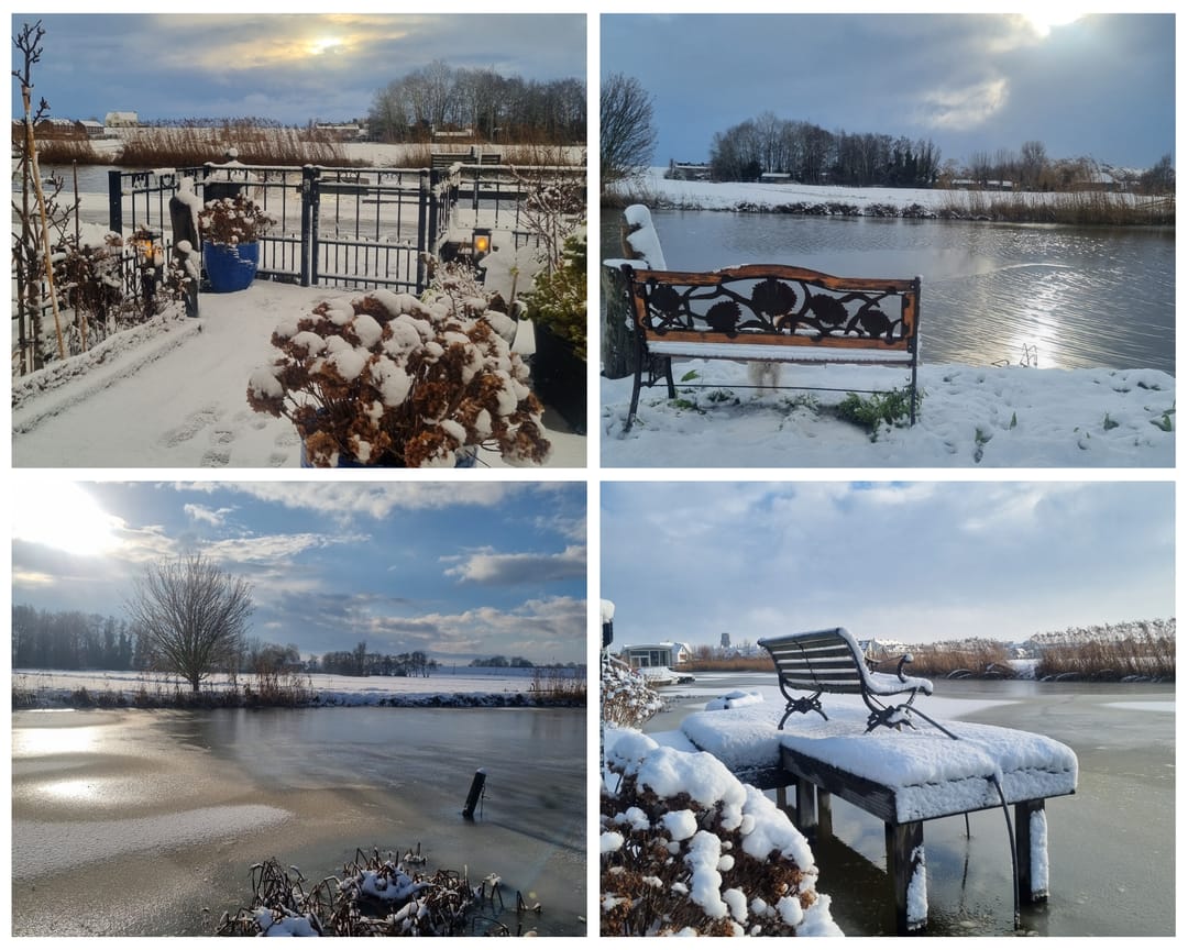 Foto 76 van West Ringdijk 45