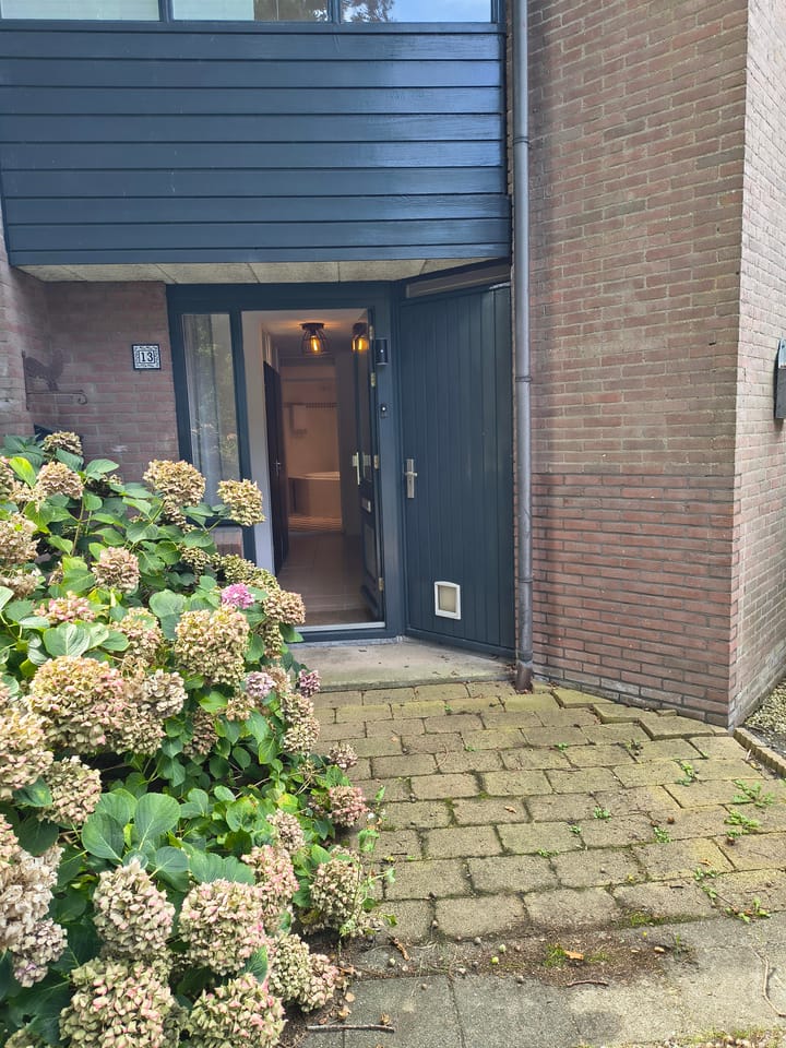 Foto 2 van Steenuilstraat 13