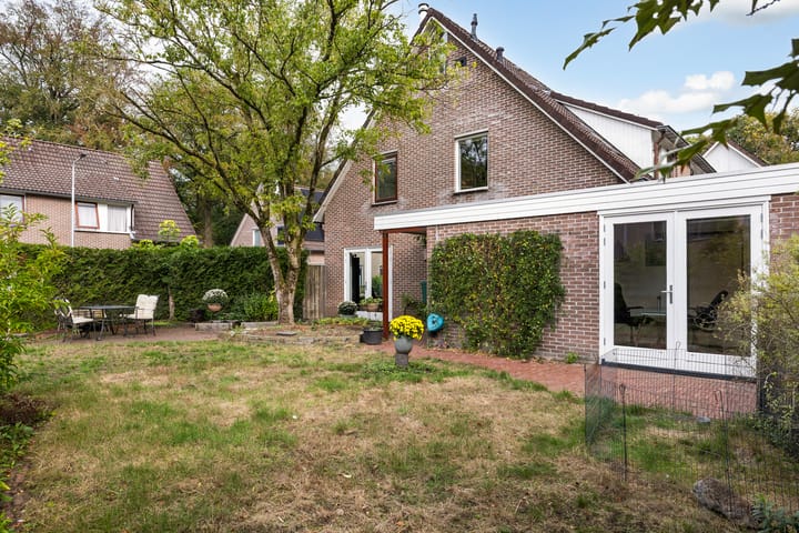 Foto 4 van Hazelnoot 7