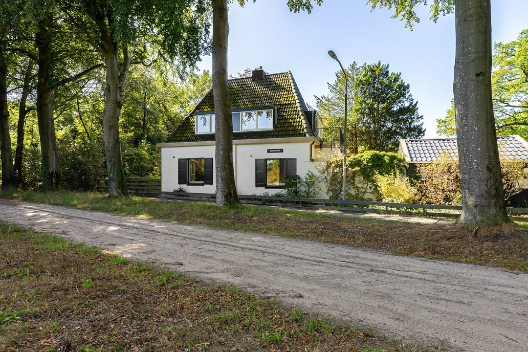 Foto 46 van Schapendrift 5