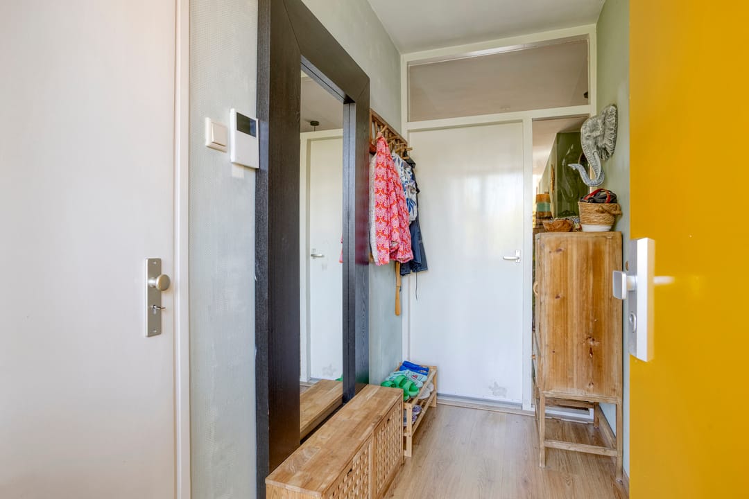 Photo 8 of Meijhorst 3356