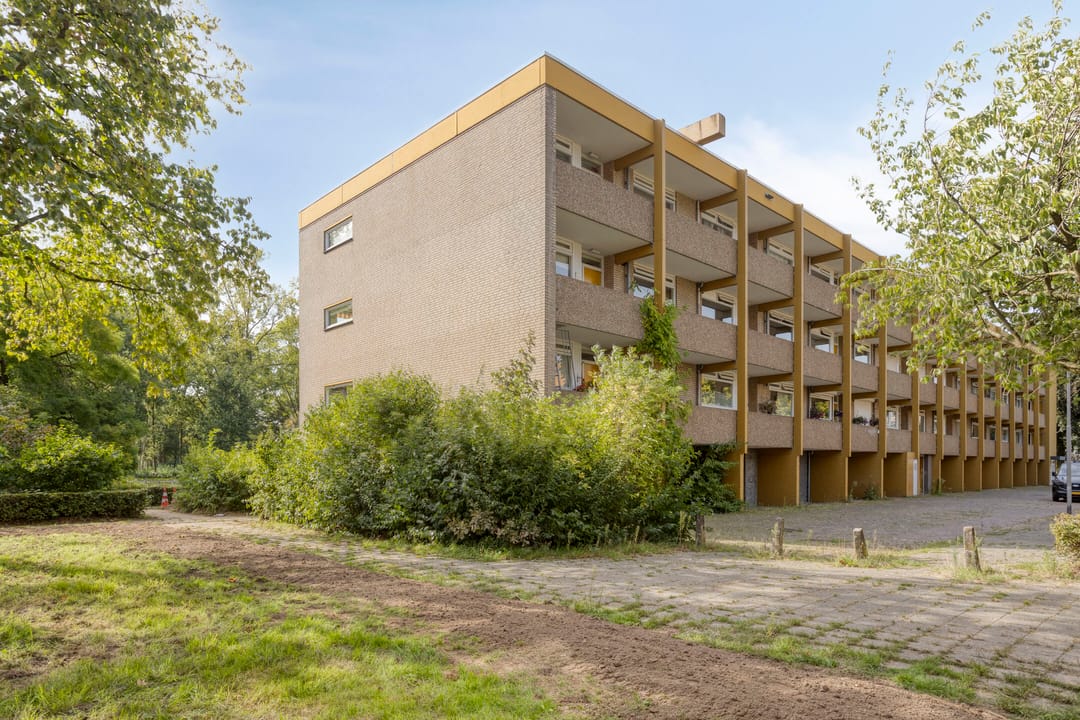 Photo 31 of Meijhorst 3356