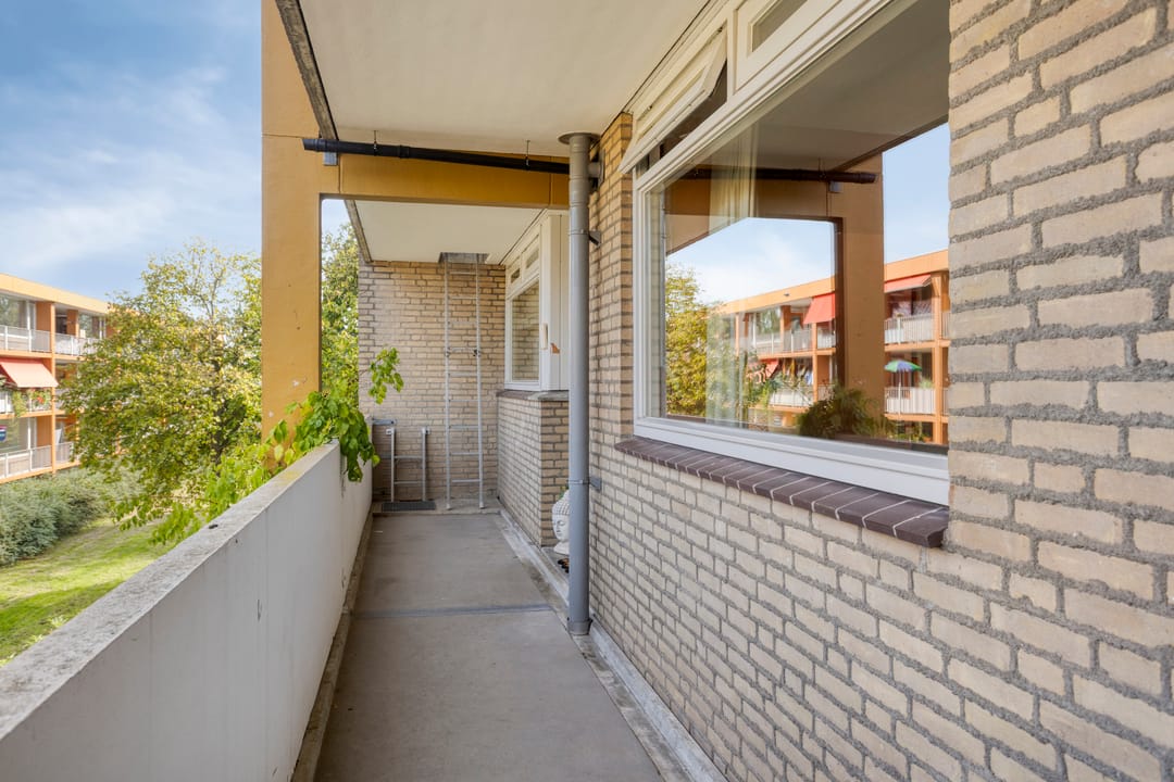 Photo 7 of Meijhorst 3356