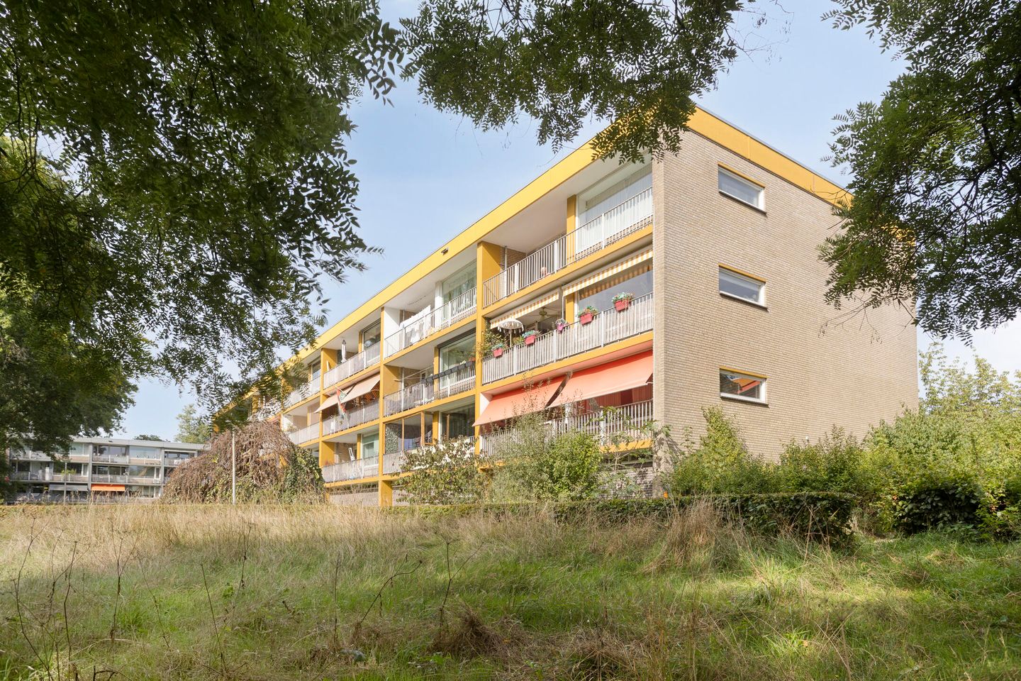 Photo 5 of Meijhorst 3356