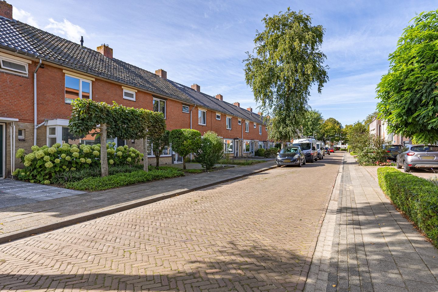 Photo 10 of Blauwverversregel 17
