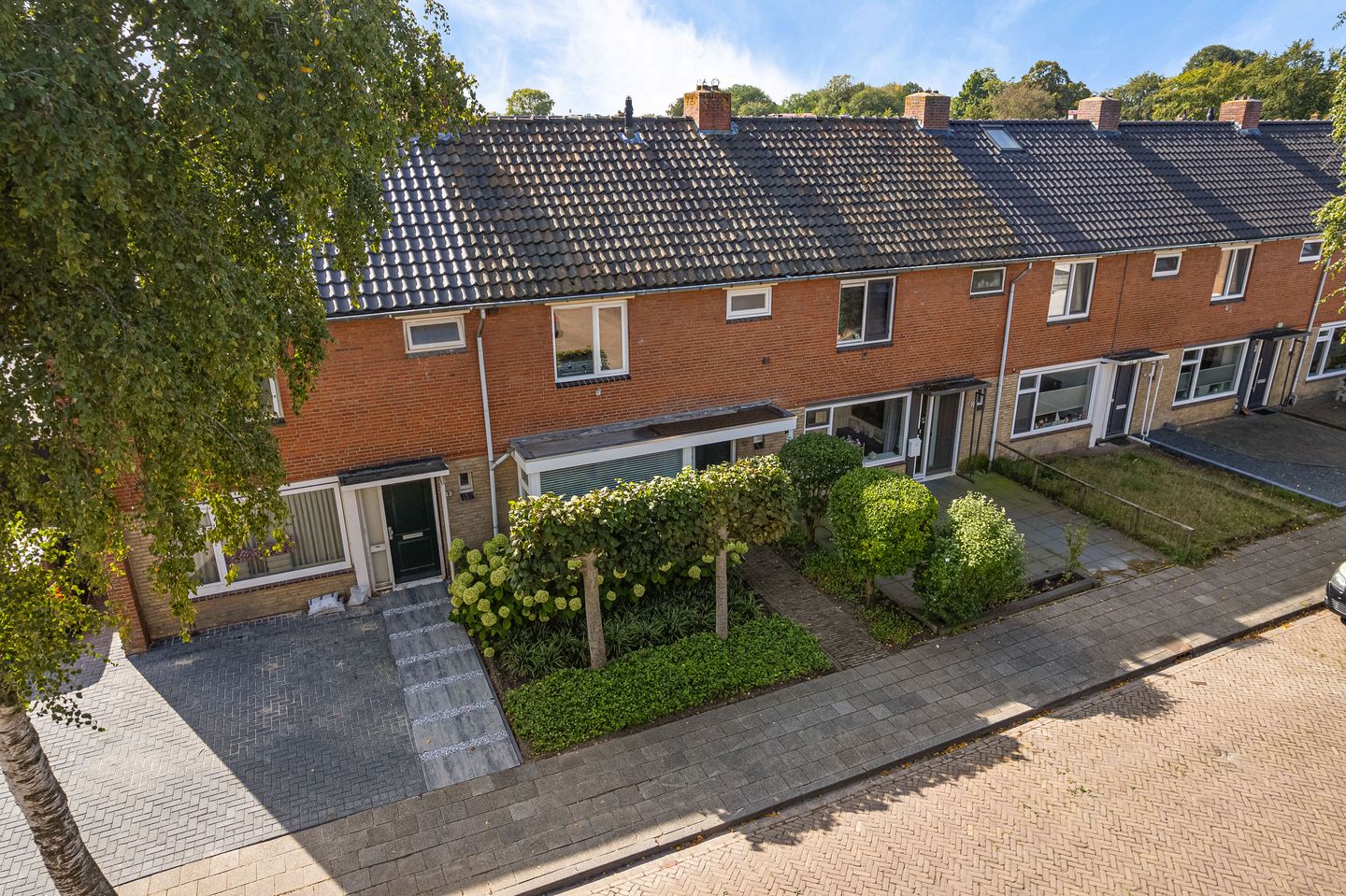 Photo 50 of Blauwverversregel 17