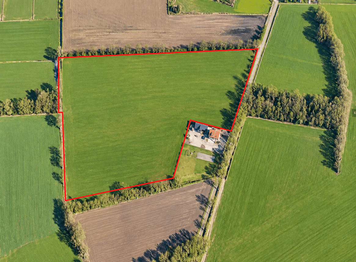 Looleeweg - Albergen - Afbeelding 2