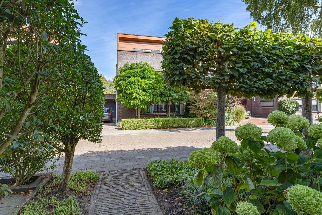 Photo 8 of Blauwverversregel 17
