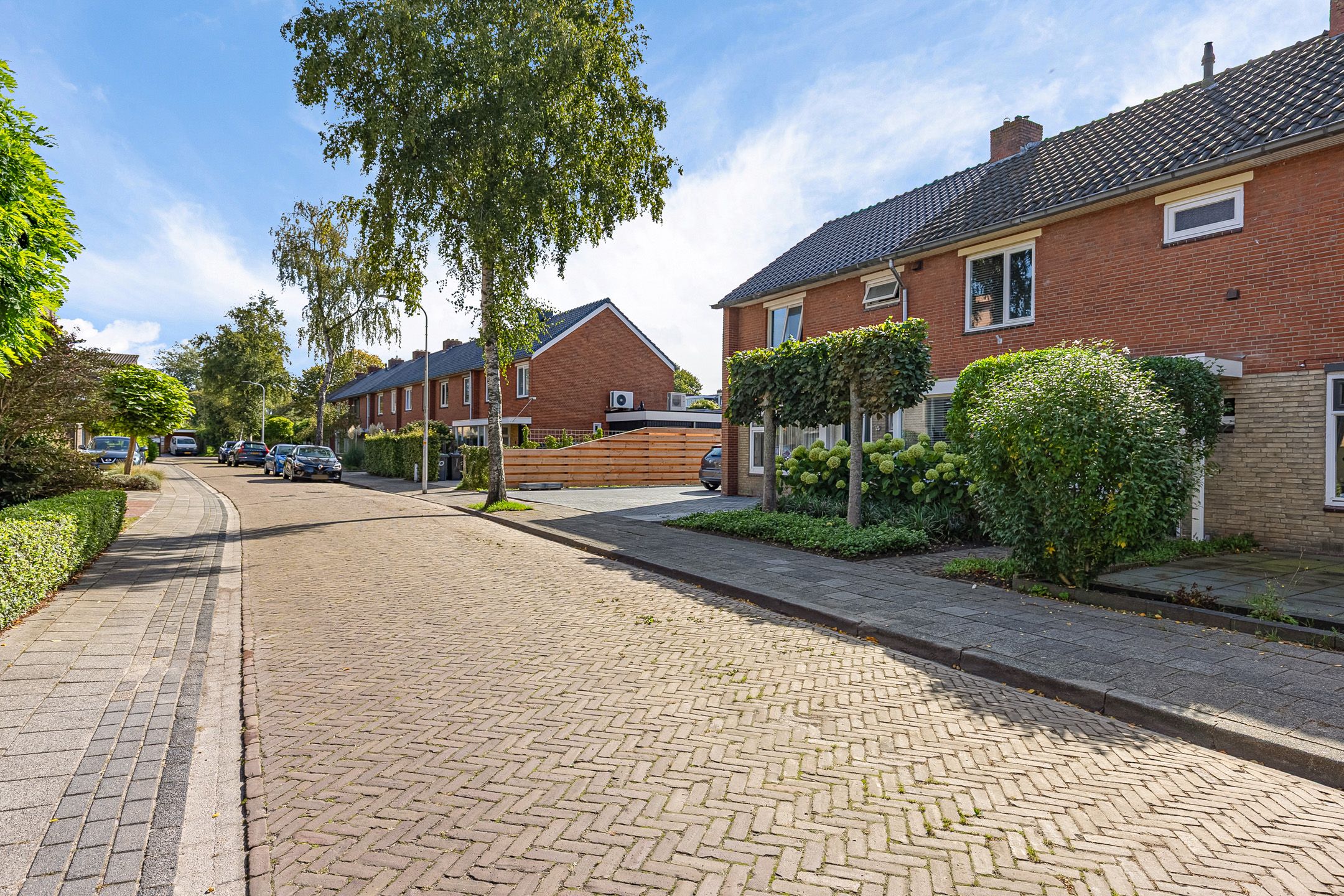Photo 9 of Blauwverversregel 17