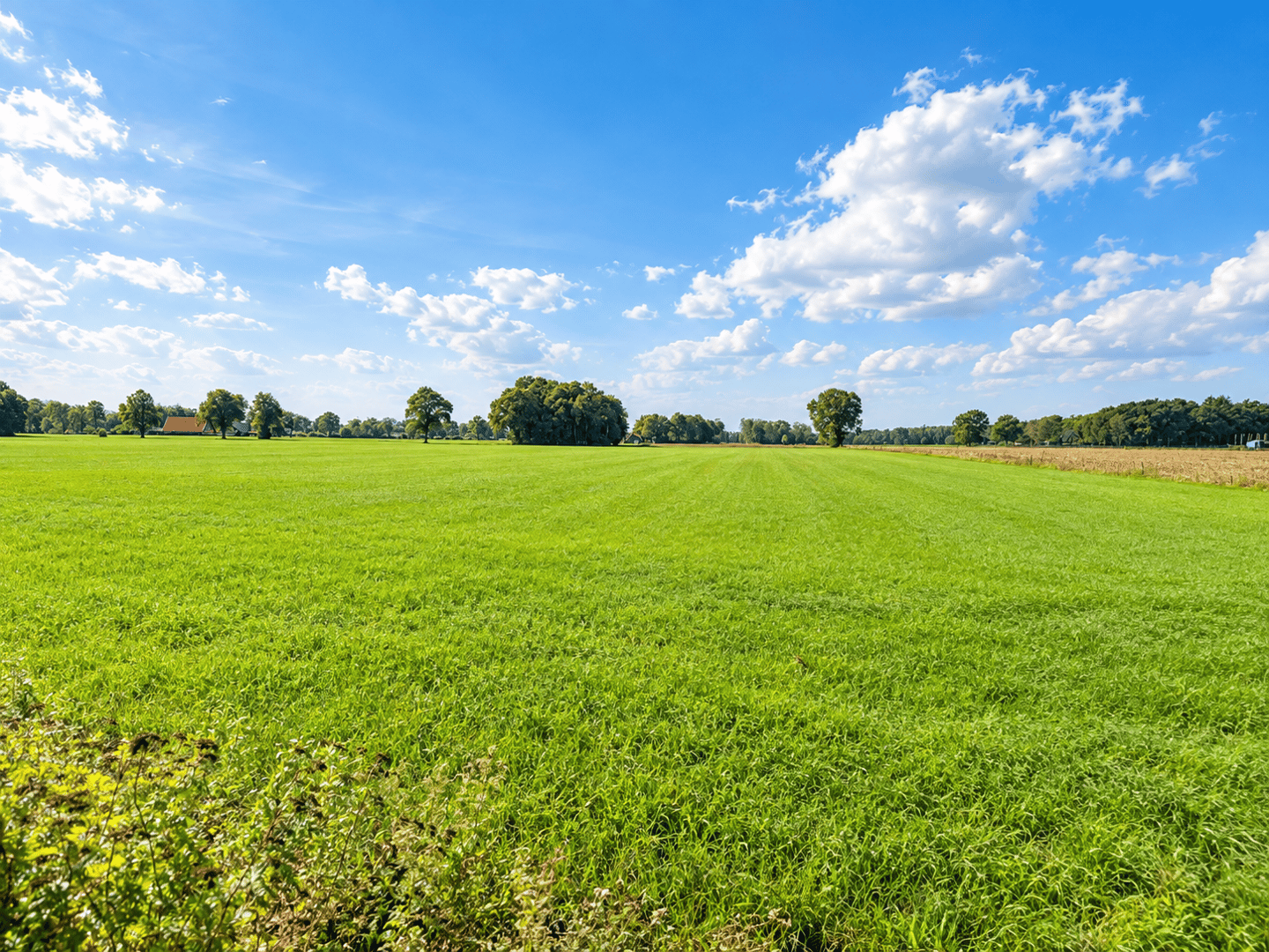 Looleeweg - Albergen - Afbeelding 3