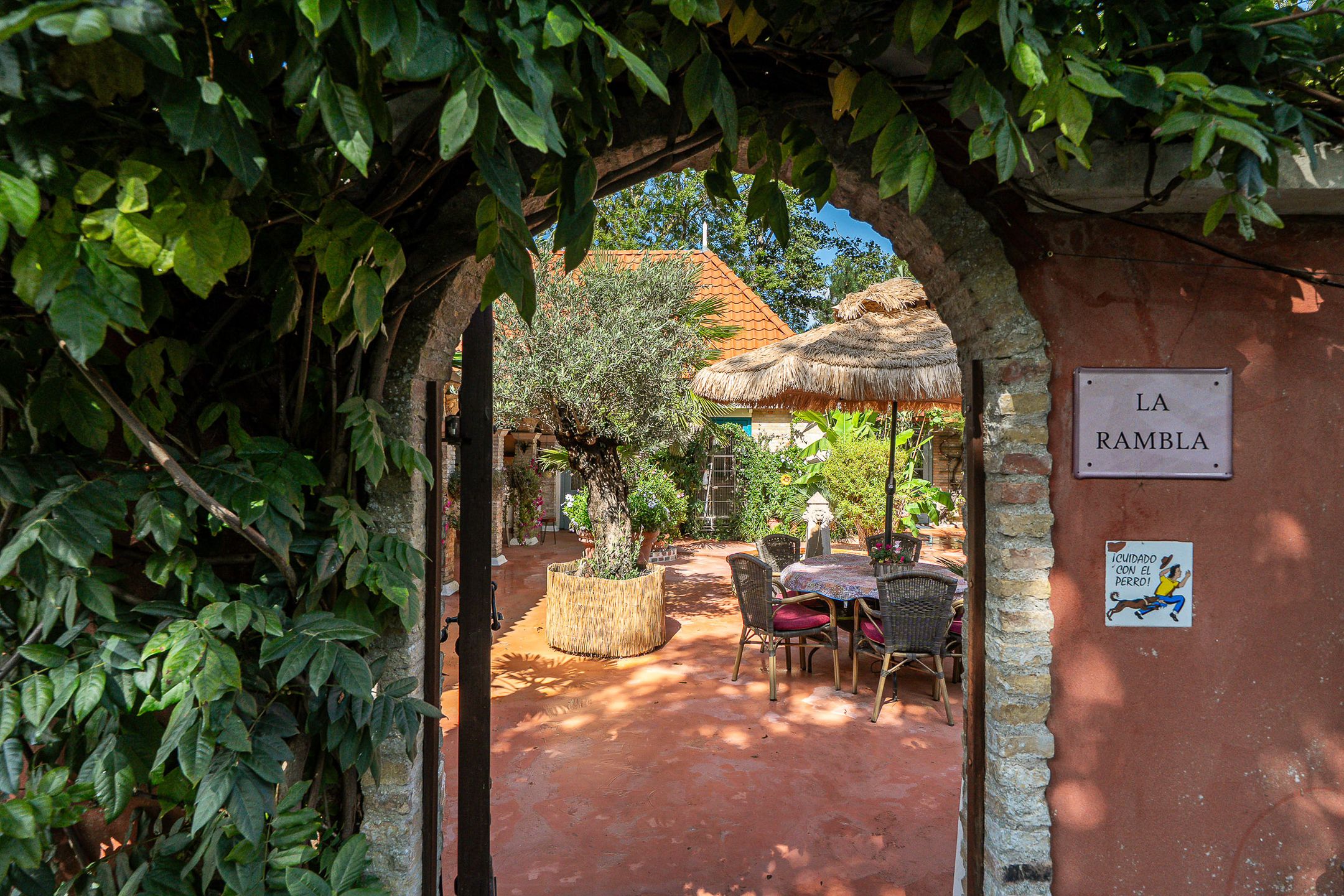 Photo 57 of Papeleantsje 2
