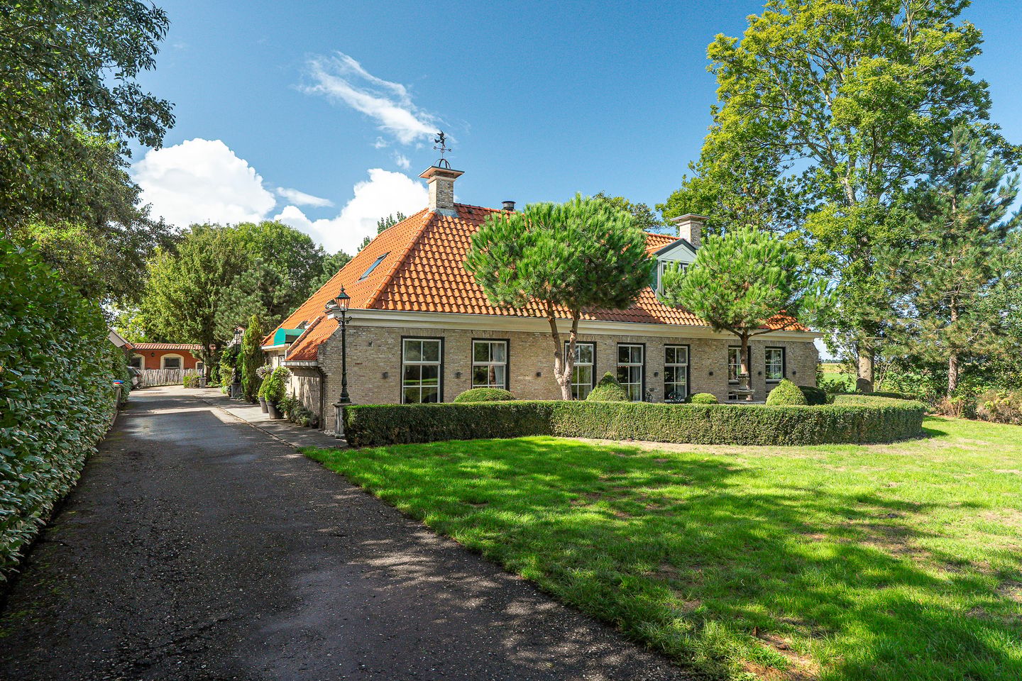 Foto 1 van Papeleantsje 2