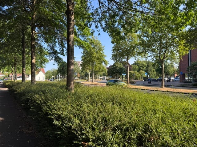 View photo 5 of J.S. Bachlaan 133
