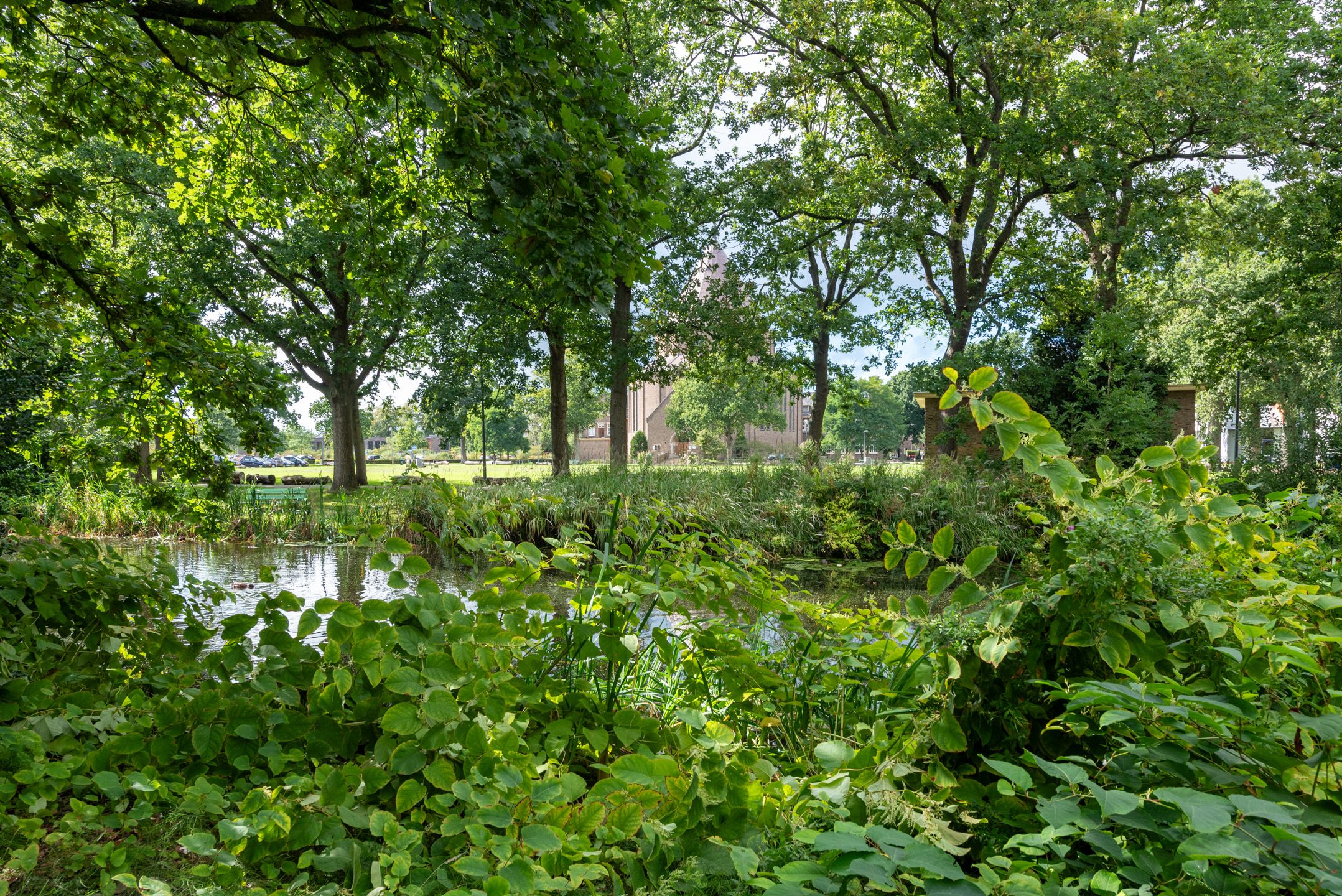 Photo 36 of De Olvendijk 57