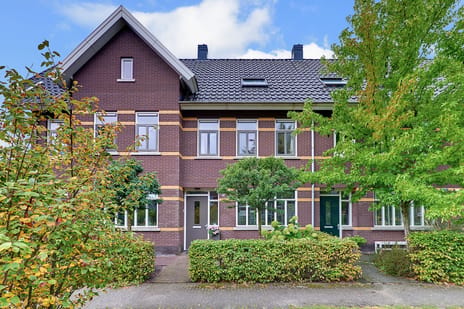 Leembergerhout thumbnail