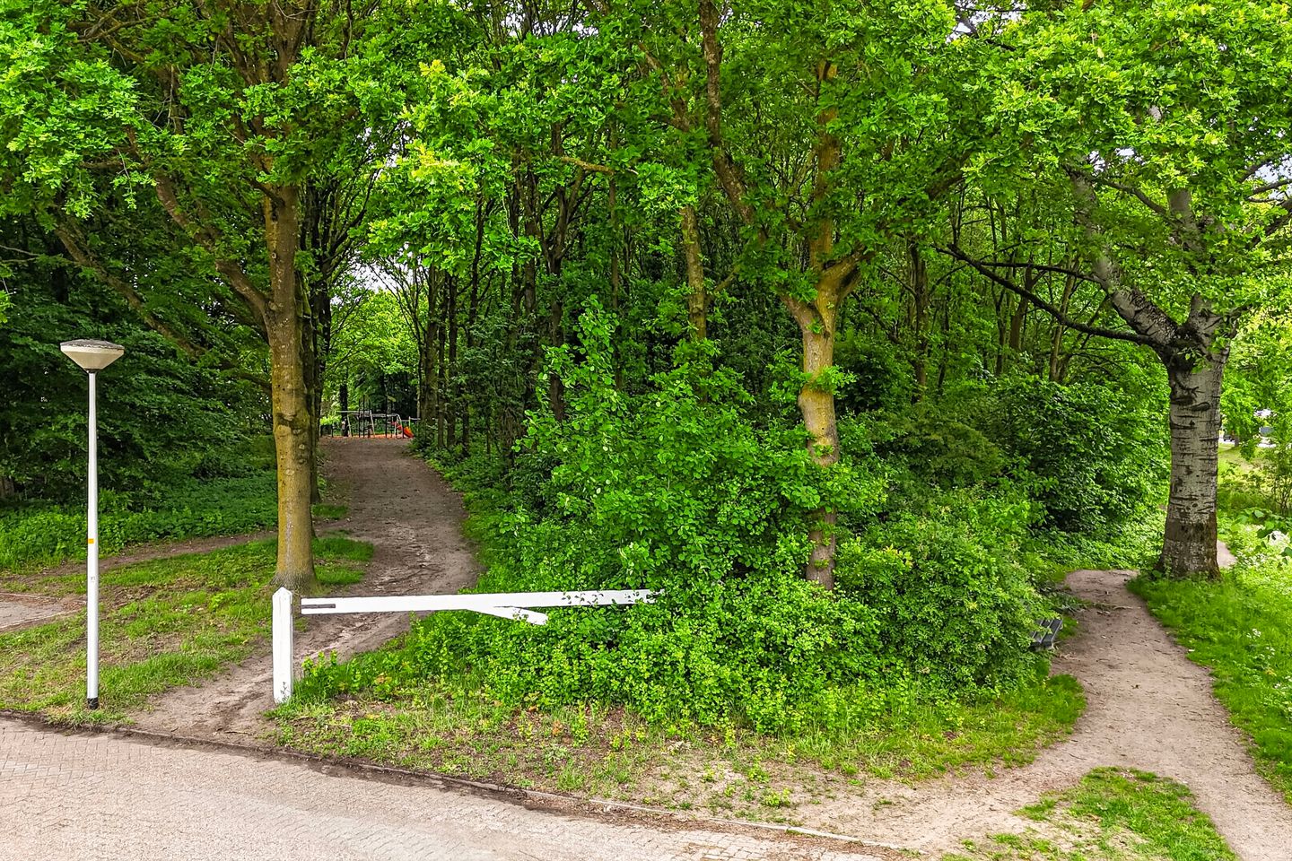 Foto 49 van Prof. Oudpark 85
