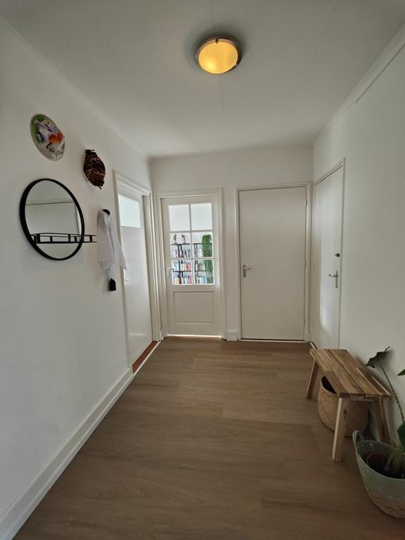 Appartement te huur: Bauerstraat 31-3, Arnhem
