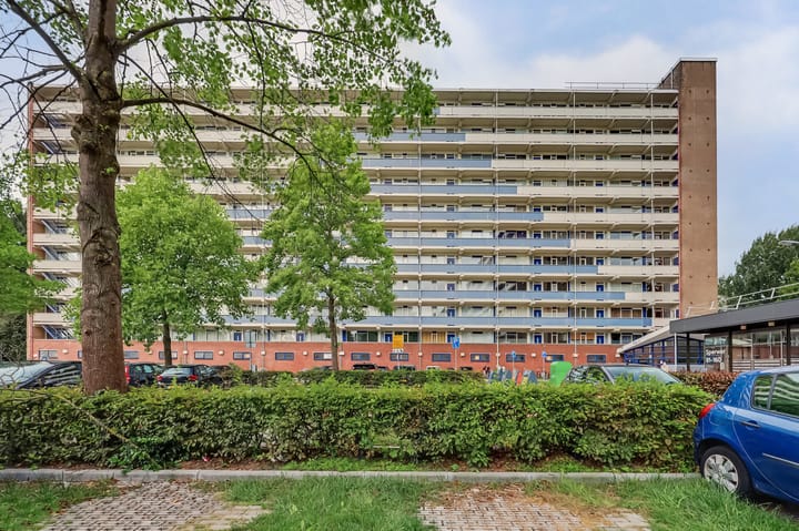 Sperwerstraat 19