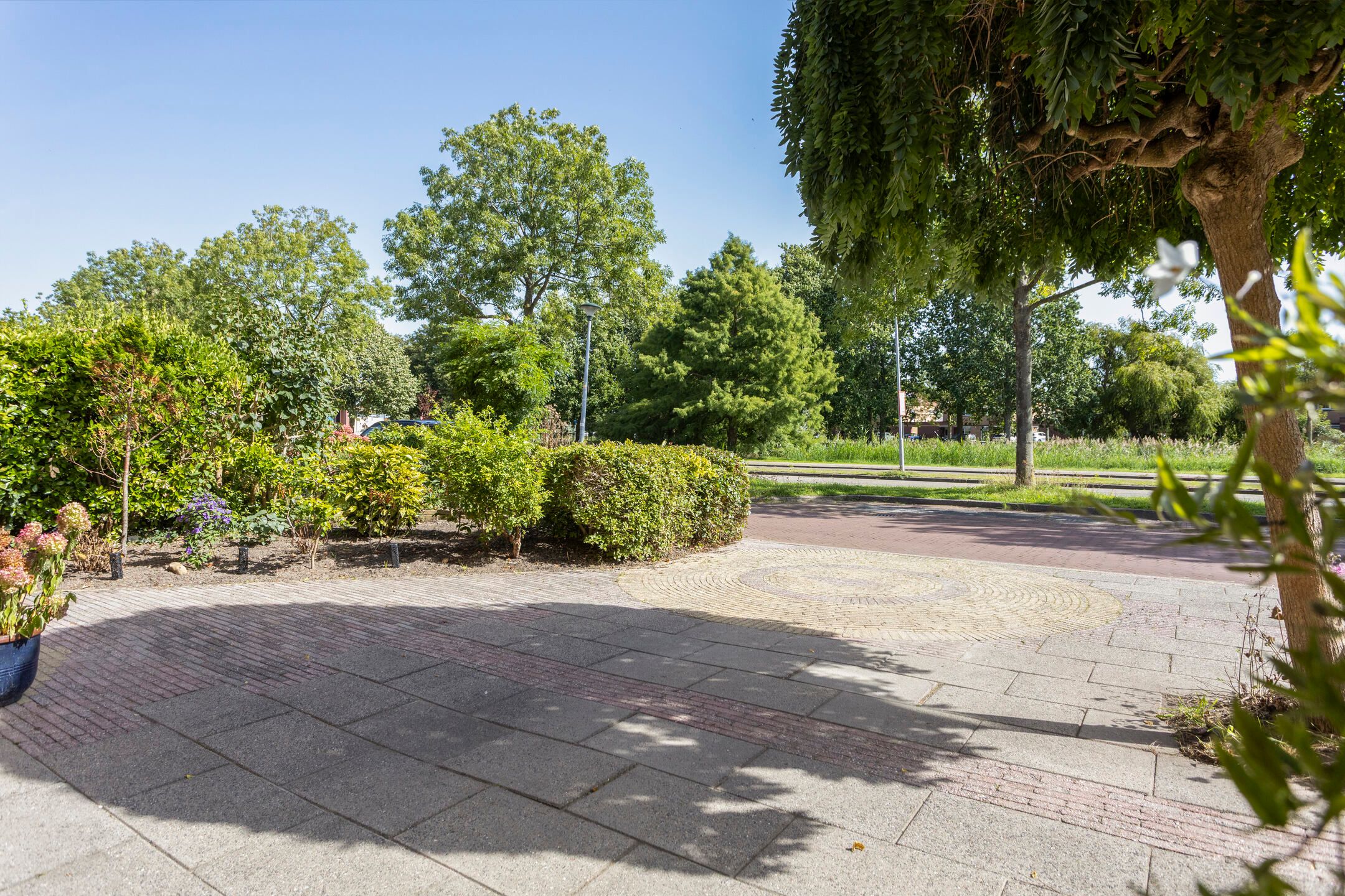 Photo 6 of Ypesteinerlaan 87