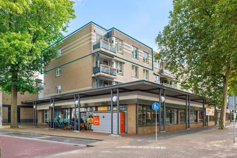 Moleneindplein thumbnail
