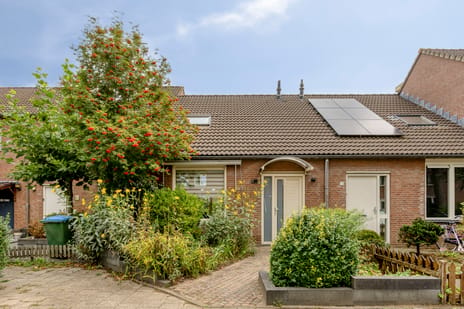 Johannes Vermeerstraat thumbnail