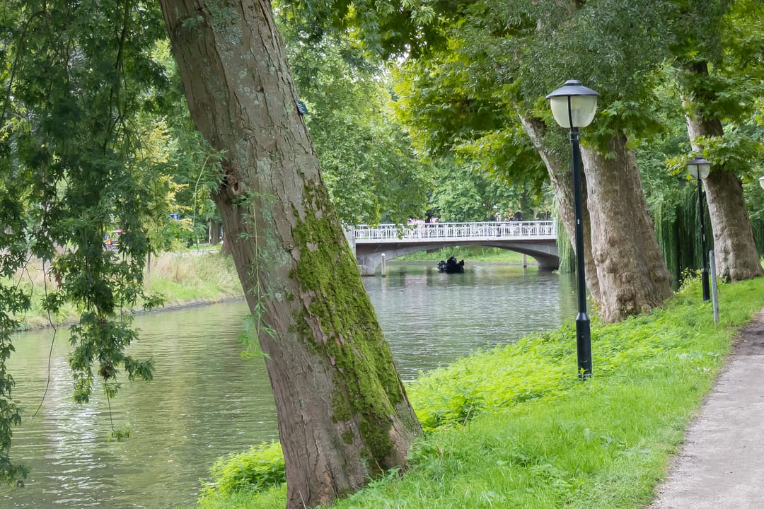 Photo 41 of Kromme Nieuwegracht 33-A