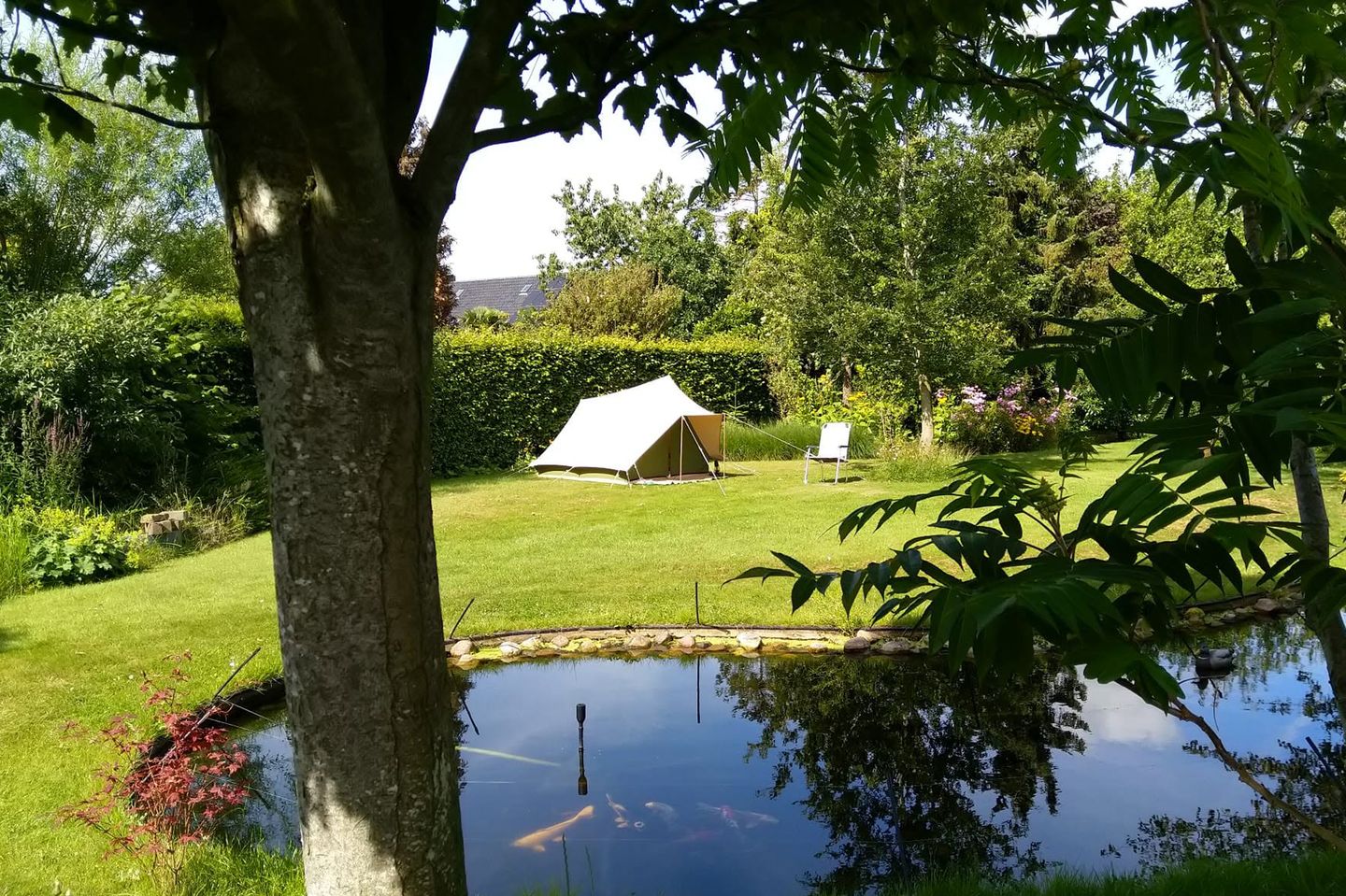 Photo 34 of Tuinbouwweg 9-B