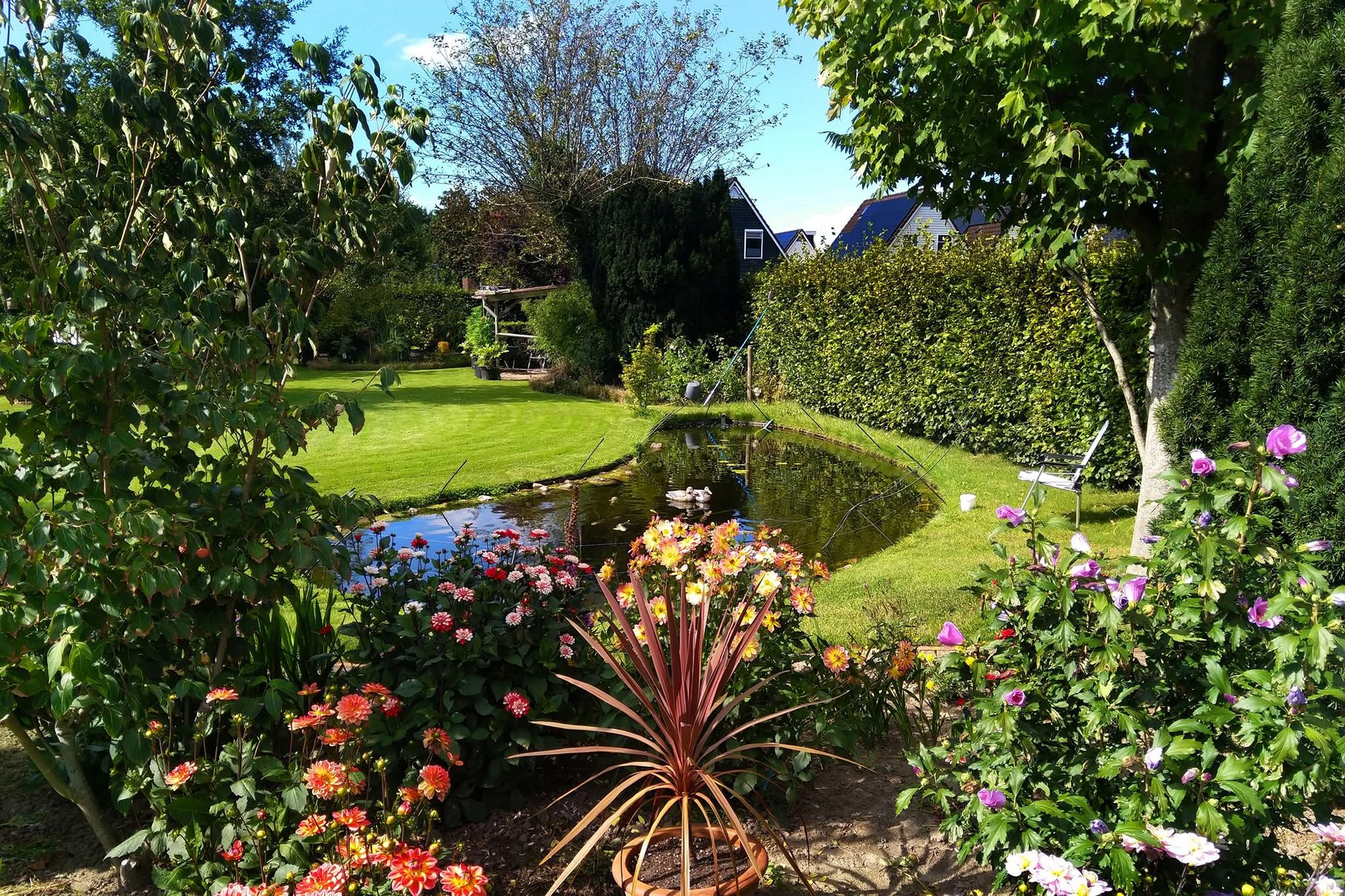 Photo 33 of Tuinbouwweg 9-B