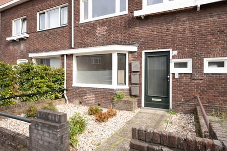 Korianderstraat thumbnail