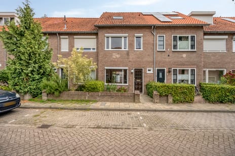 Steenbergenstraat thumbnail