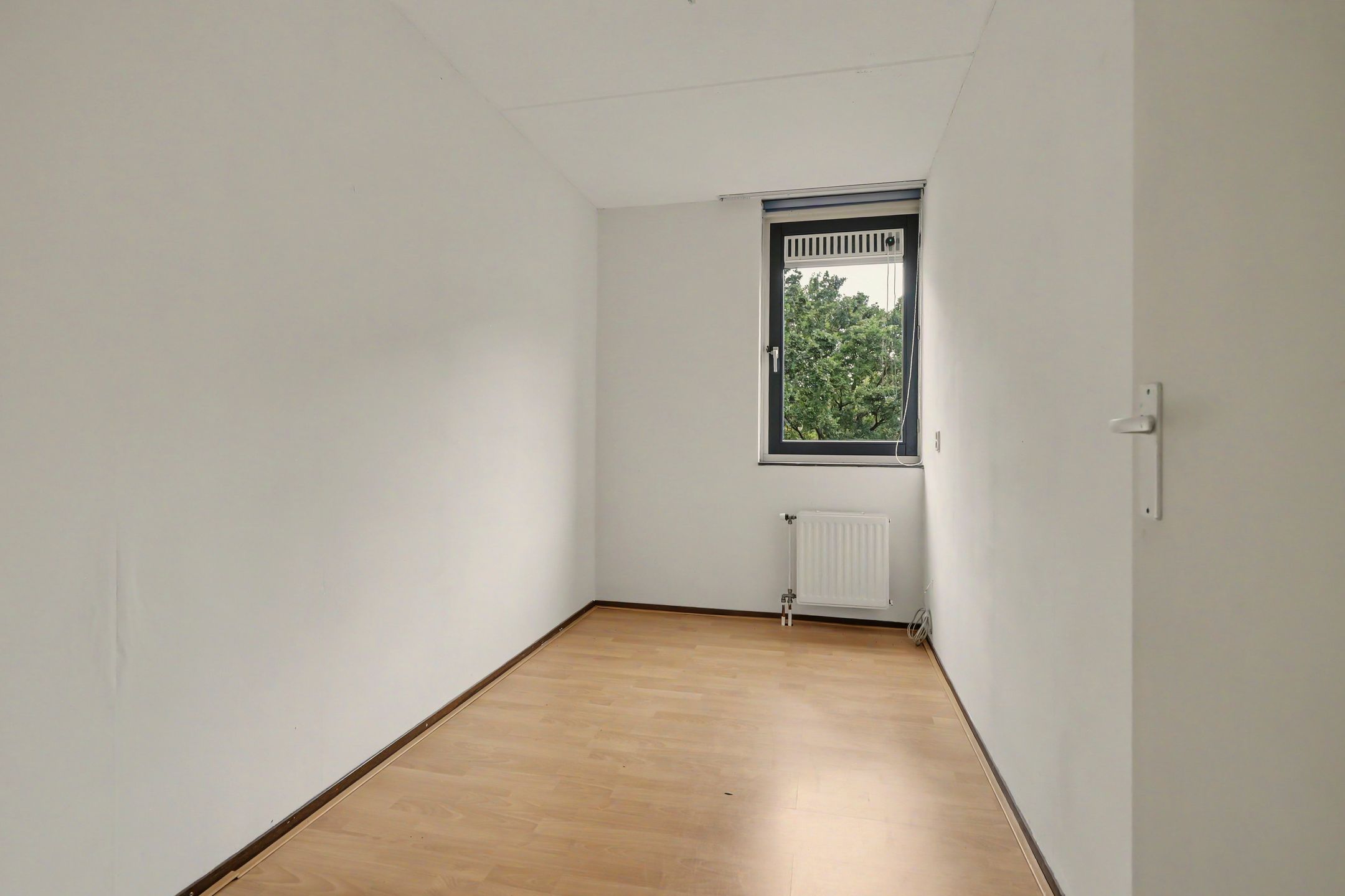 Foto 12 van Alfridahof 18