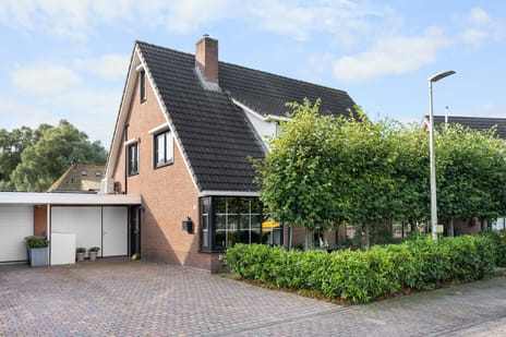 Duifkruid thumbnail