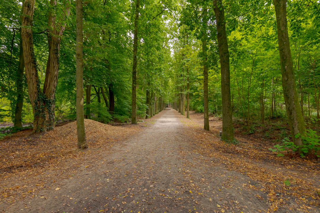 Photo 53 of Eijerdijk 10