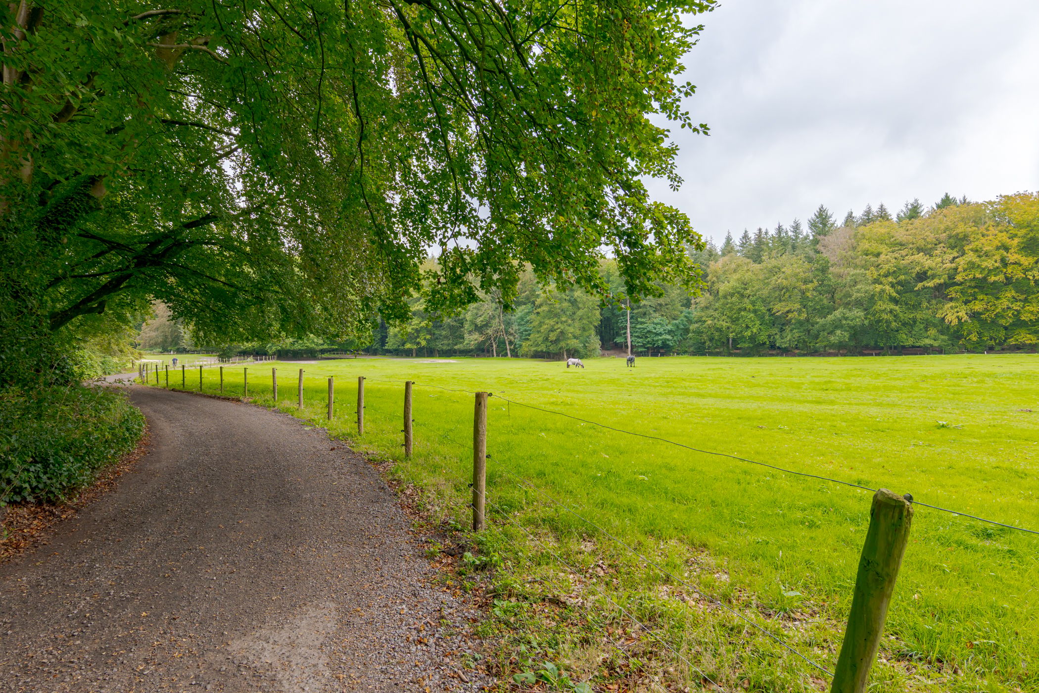 Photo 54 of Eijerdijk 10