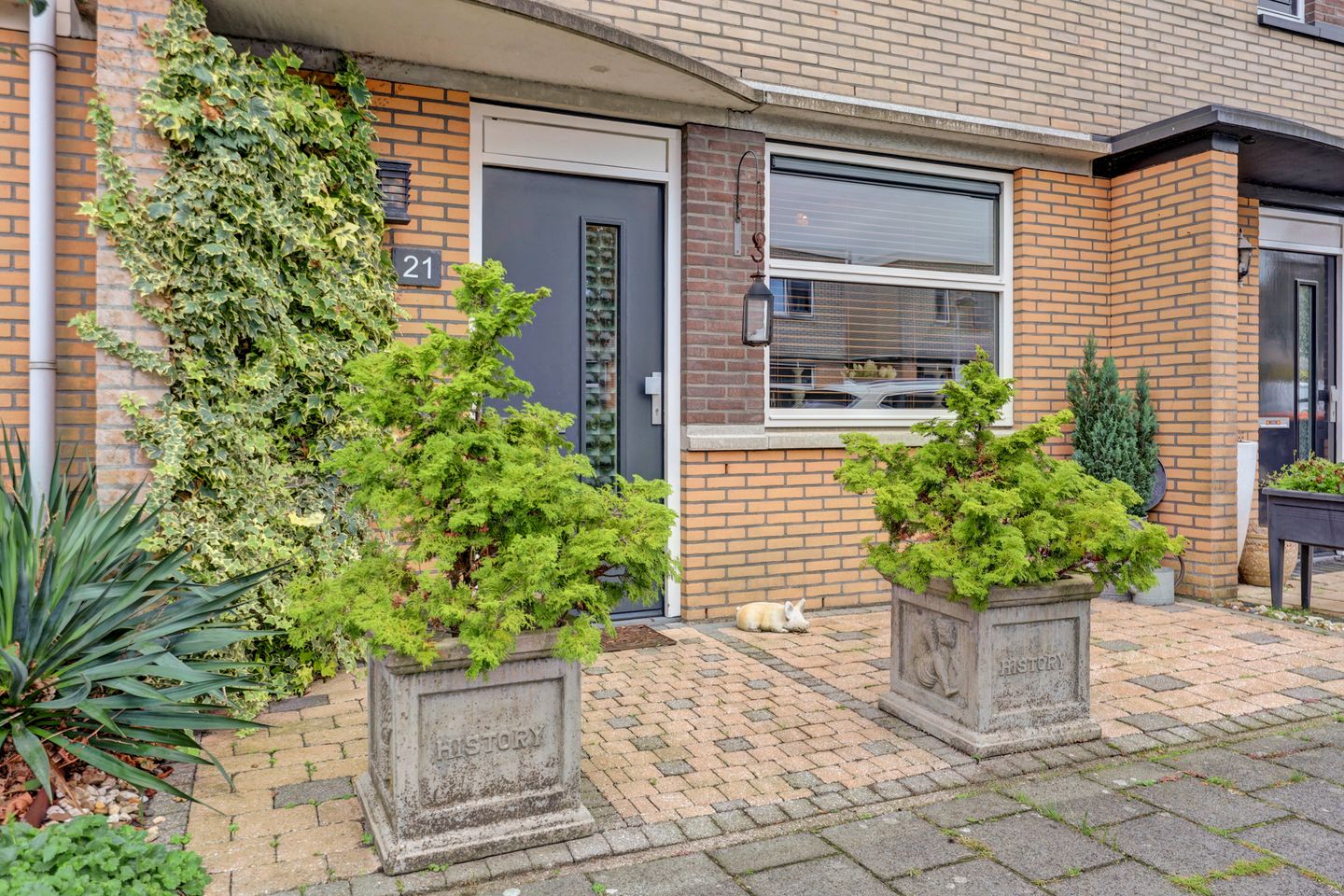 Photo 10 of Slangekruid 21