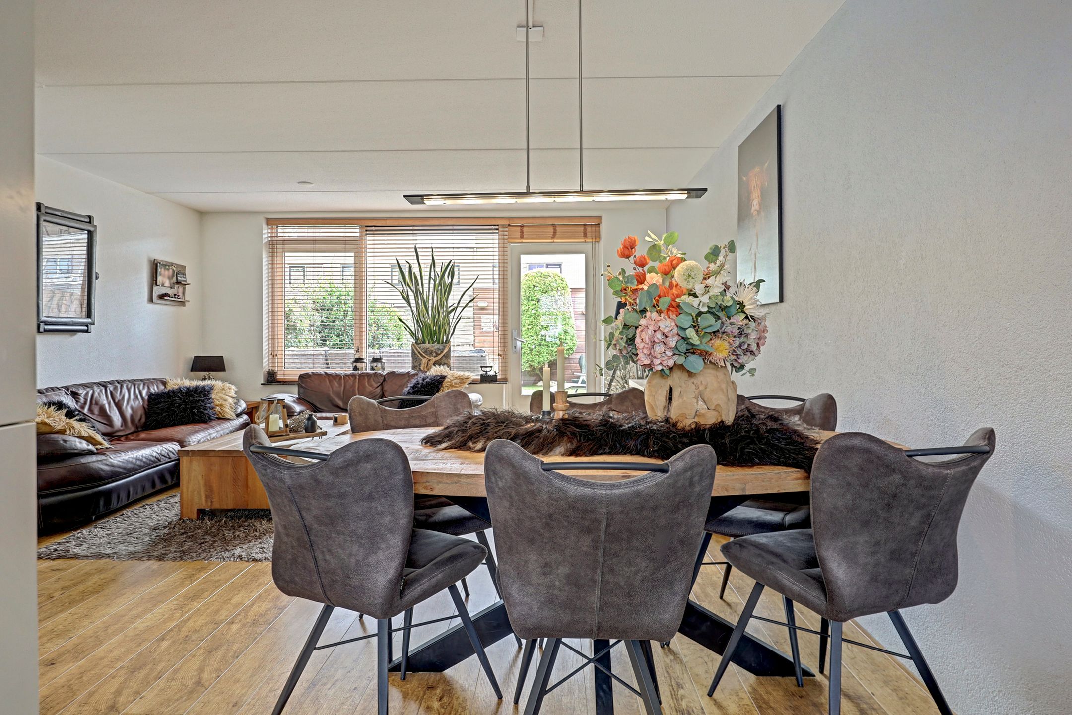 Photo 21 of Slangekruid 21