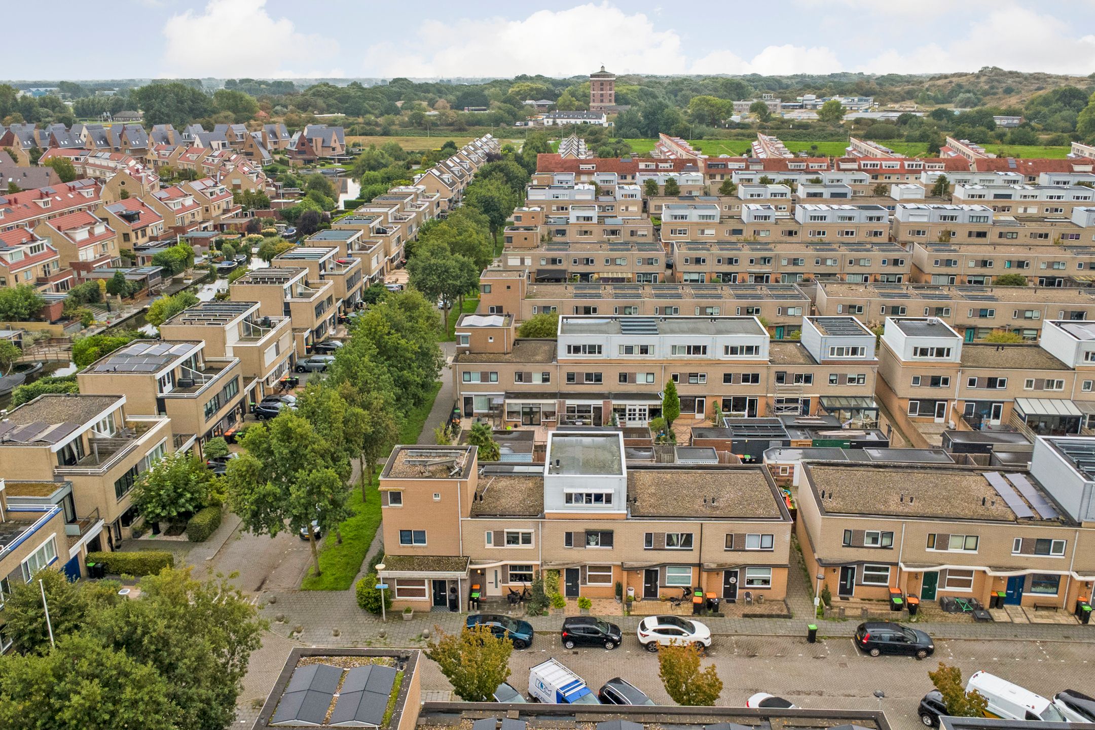 Photo 60 of Slangekruid 21