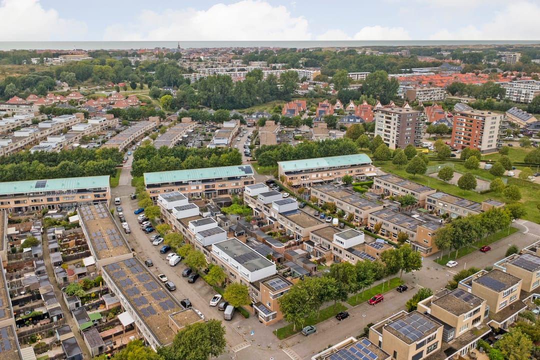 Photo 58 of Slangekruid 21