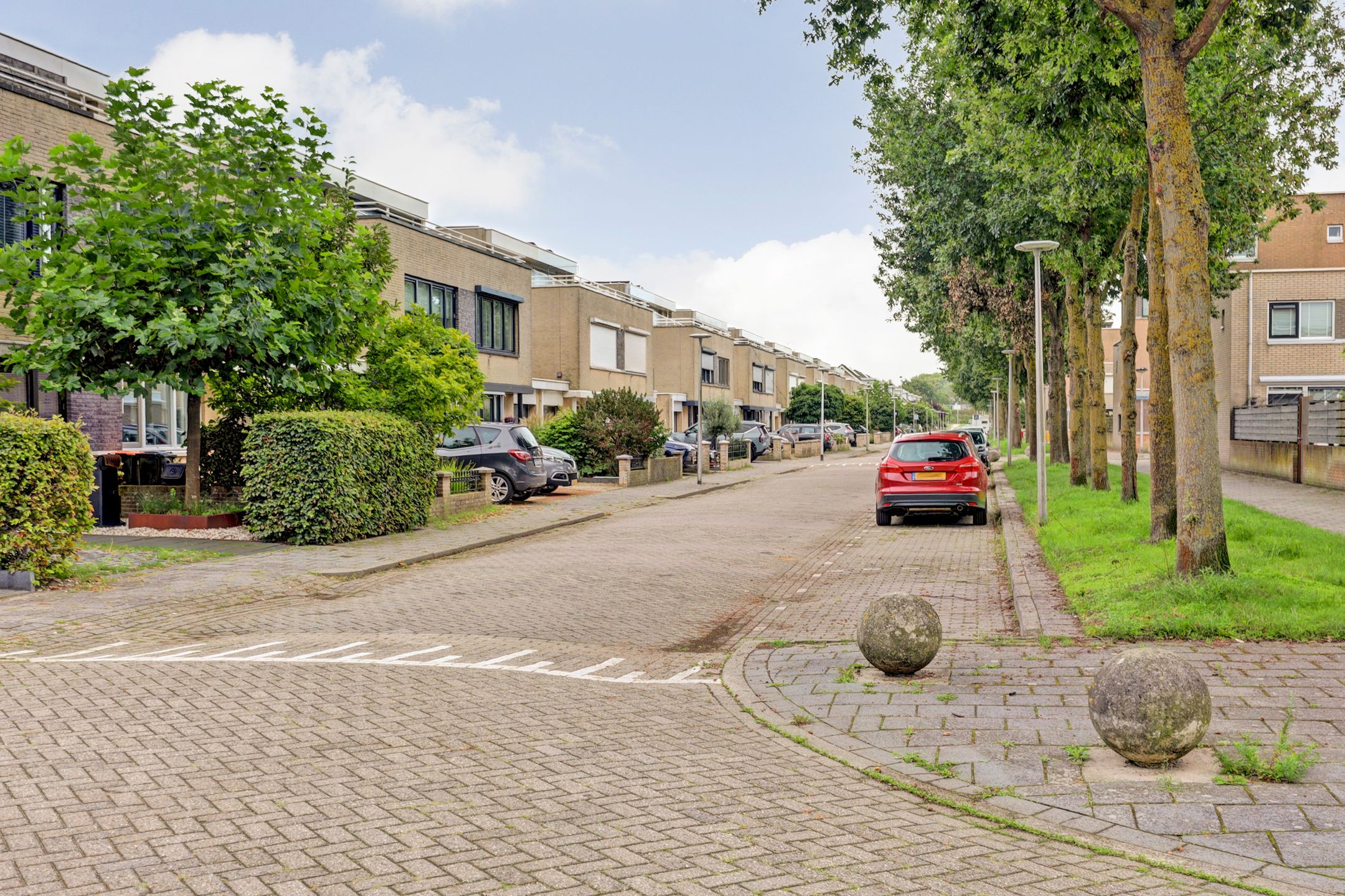 Photo 54 of Slangekruid 21