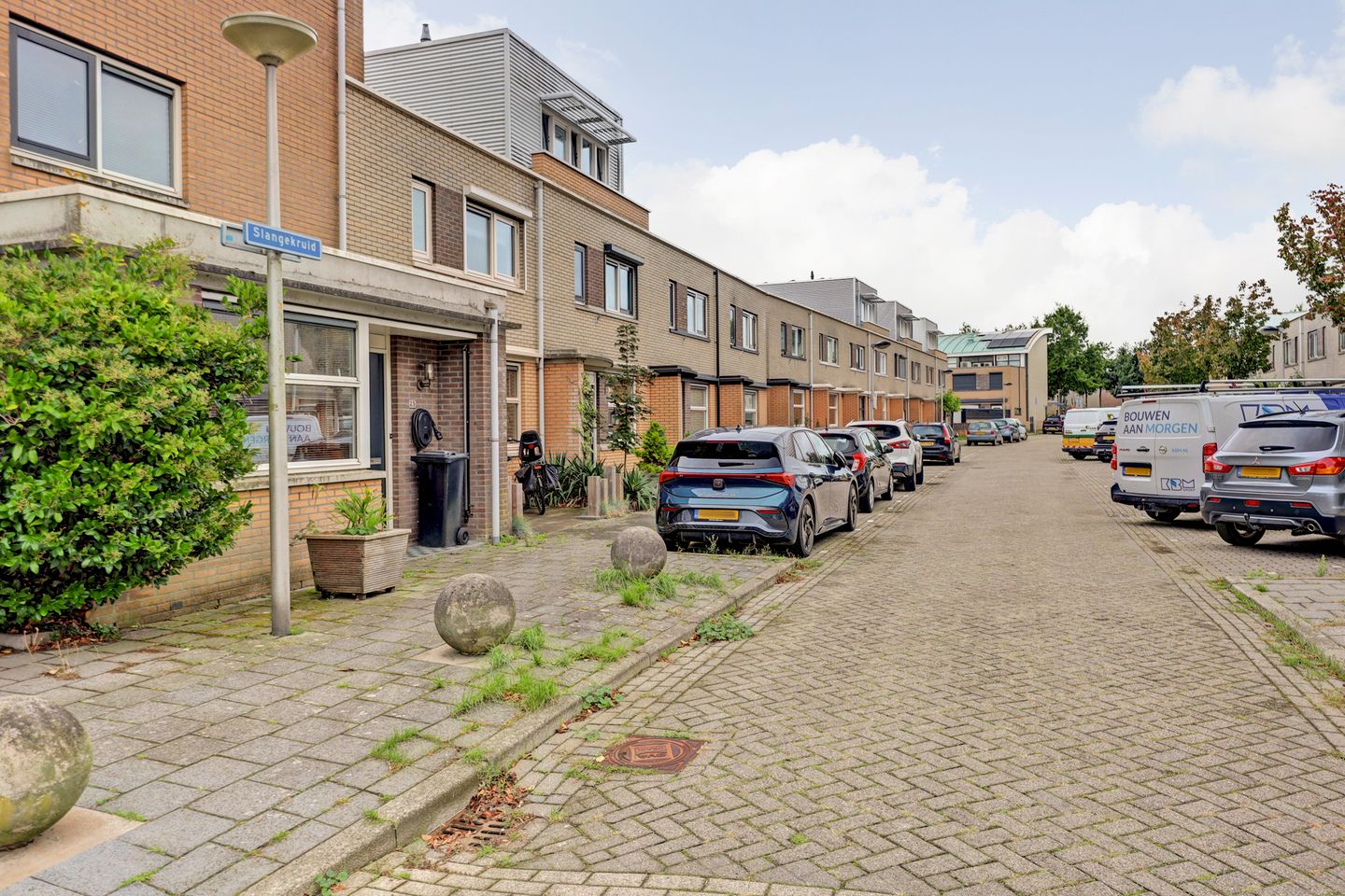 Photo 55 of Slangekruid 21