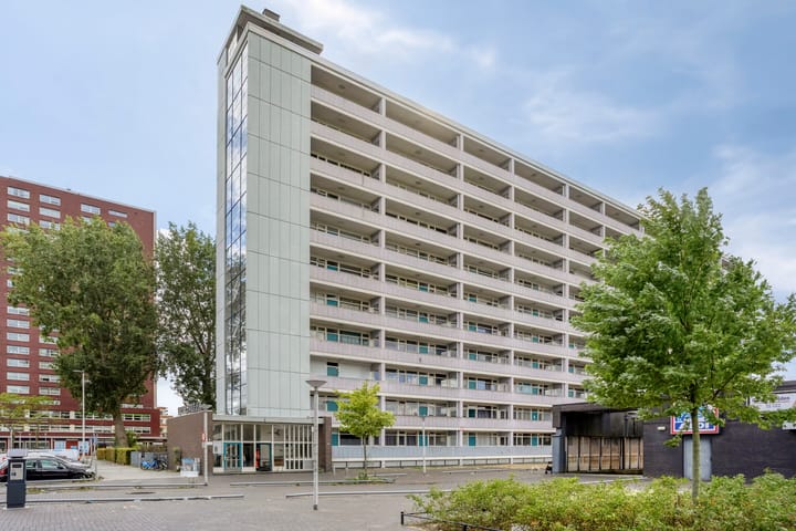 Plein 1953 91