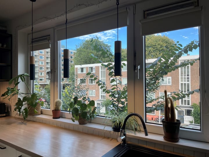 Foto 2 van Wedderborg 32